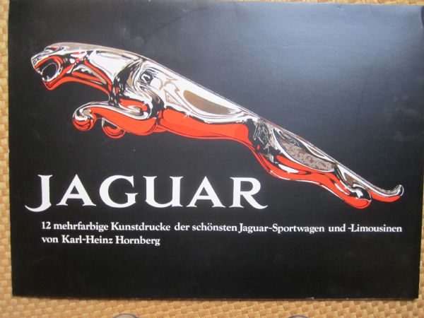 Jaguar billeder, pri 